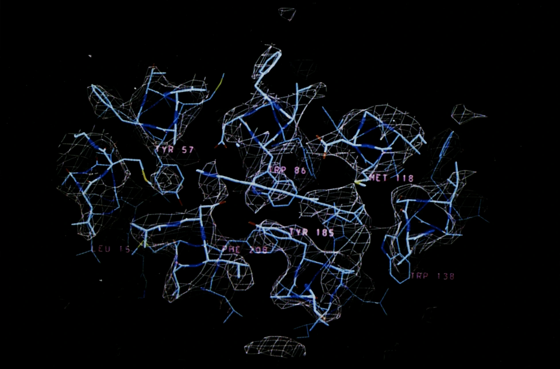 A slice through the 1990 electron-microscope map of bacteriorhodopsin, with the protein chain fitted into the measured density